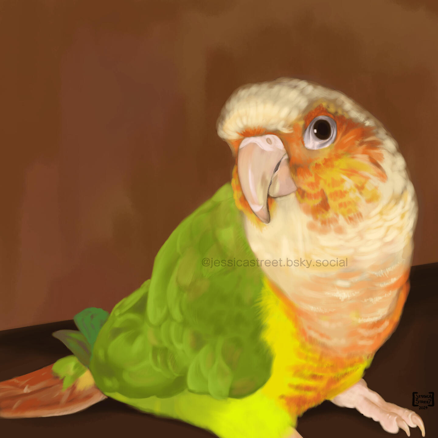 Bird ---